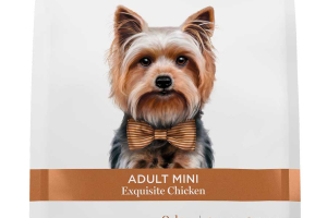 Adult mini - Exquisite Chicken